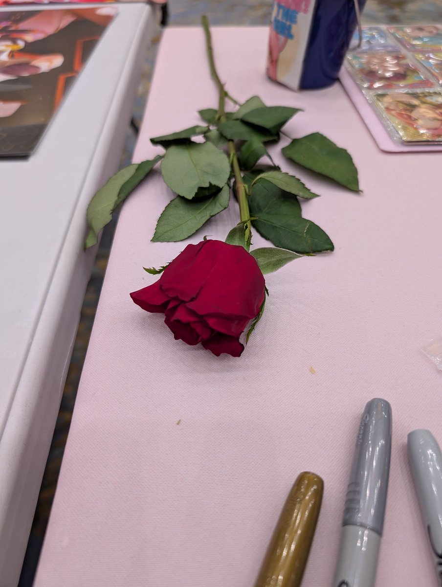 Roy Chiato 🐰☕ tweet media