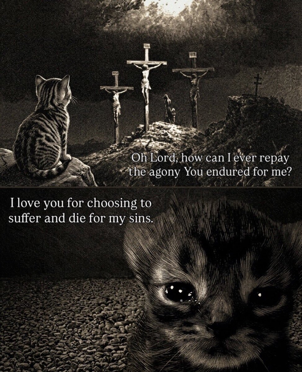 LiterallyMeCats tweet media