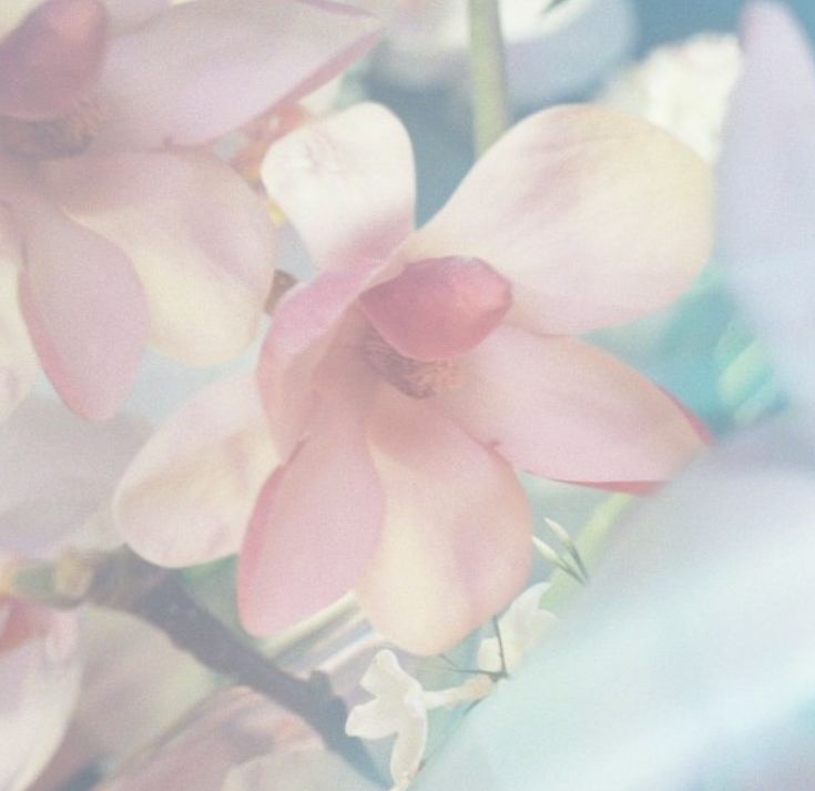 ﾟ+.St☆rving D♡ll.+ﾟ1 day(s) binge free! tweet media