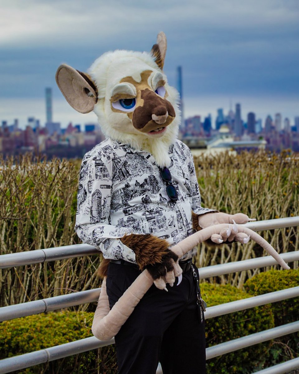 furthèque ☕️ tweet media