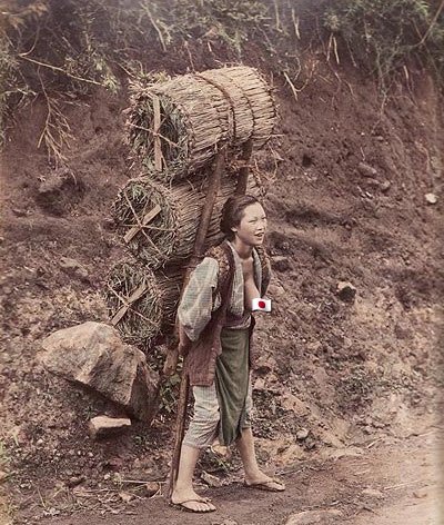 늬들이하니까나도함 tweet media