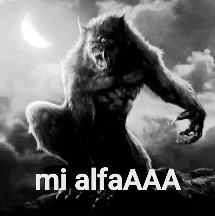 ᴍ ᴇ ʟ ᴏ ᴅ ʏ ⊹ ࣪ ˖ tweet media