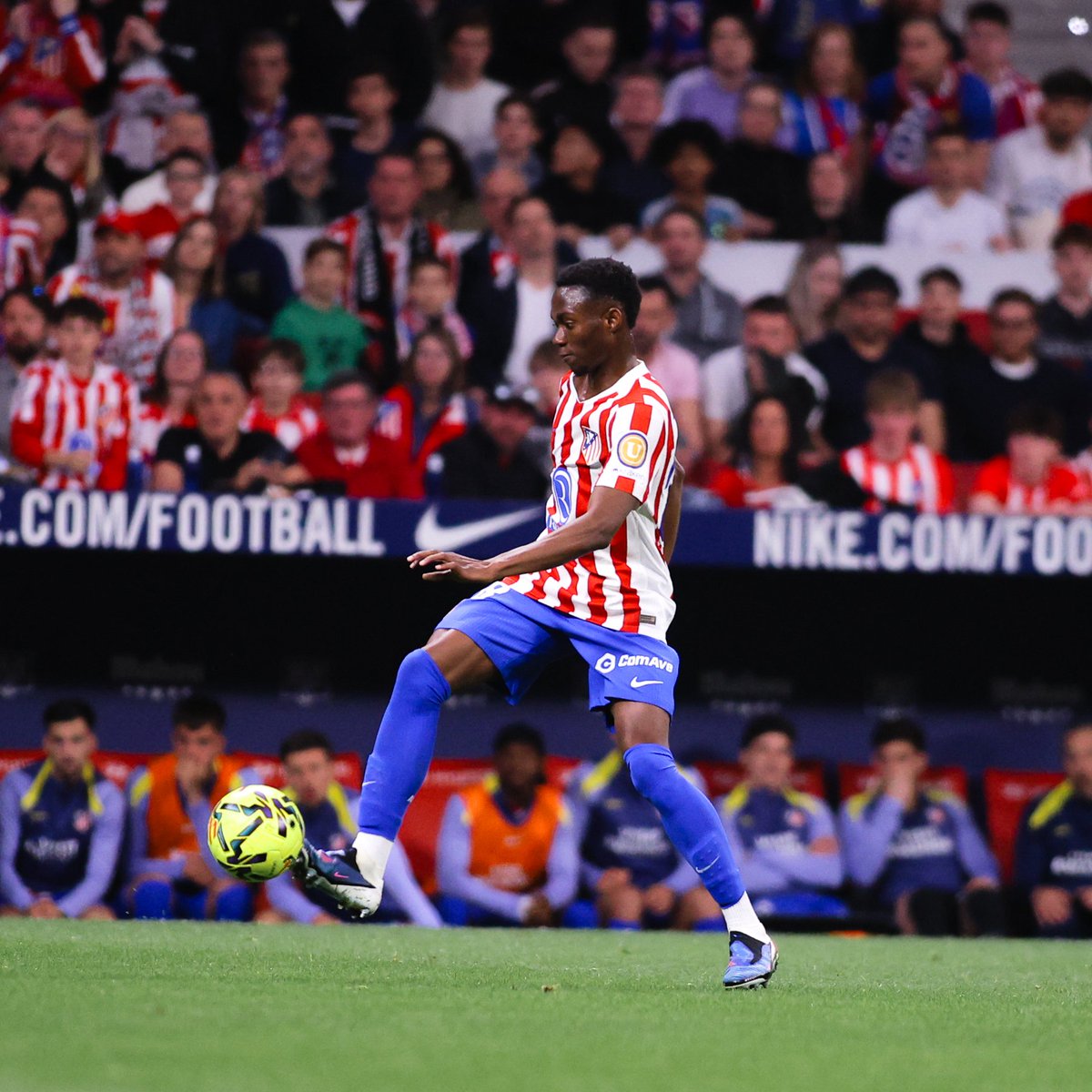 Atleti Academia tweet media