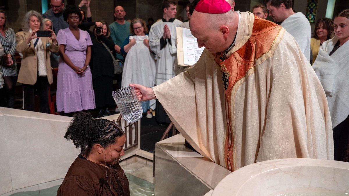 LoreleiAH tweet media