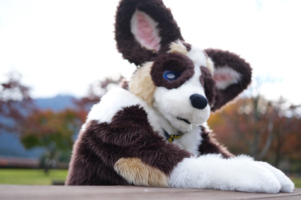 カシェル/Craft Furry Friends tweet media