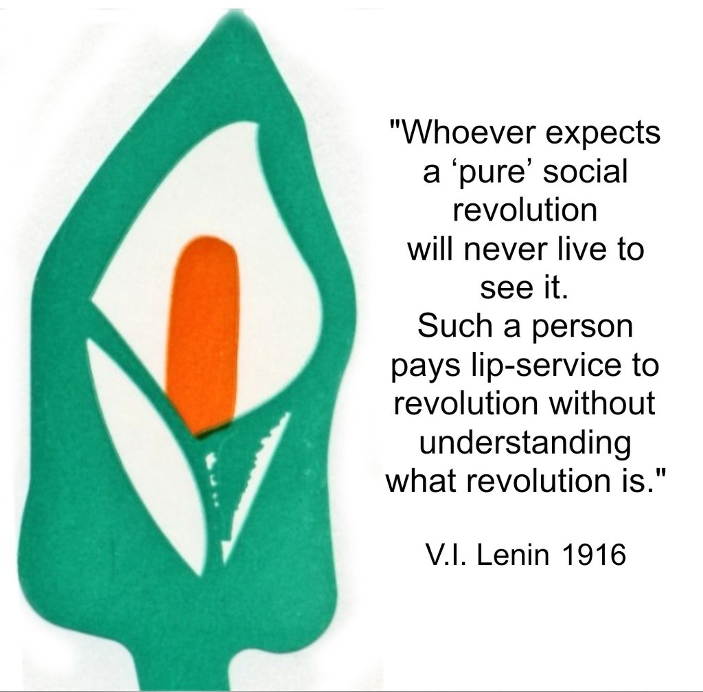 Social Rights Ireland 🇮🇪 🇵🇸 tweet media