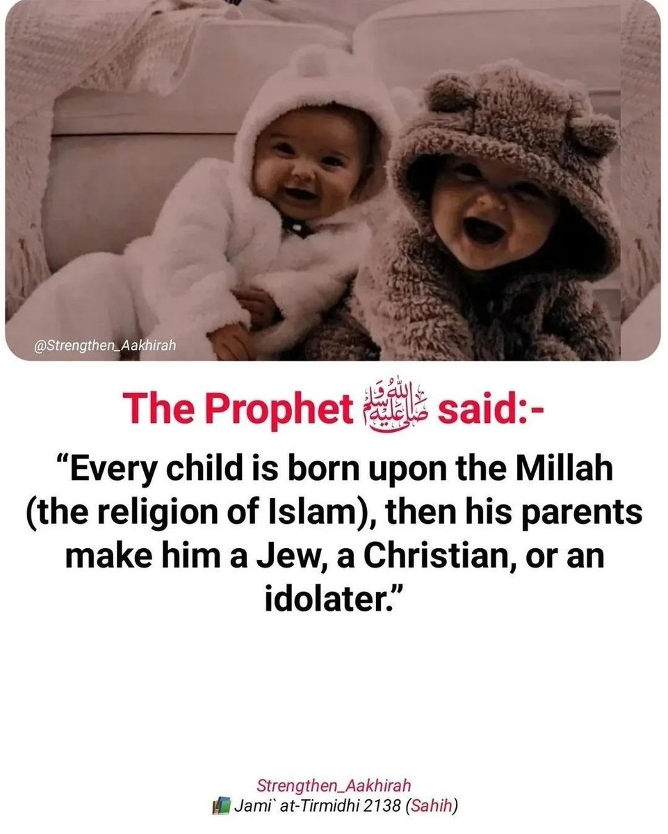 𝐀𝐥-𝐐𝐮𝐫𝐚𝐧 || القرآن tweet media