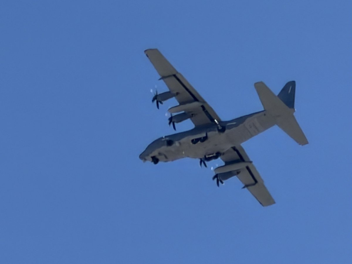 Torx 🐆⛽ tweet media