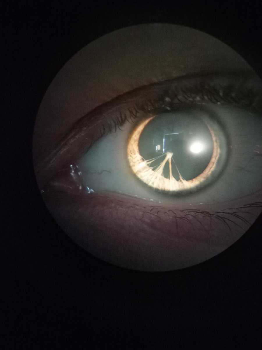 УВАЖАЕМАЯ УТКА tweet media