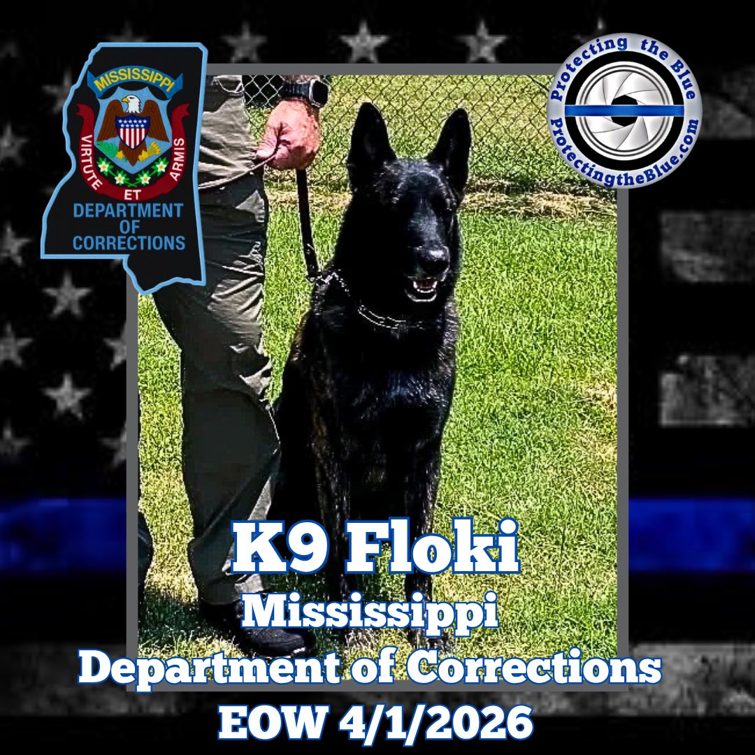 Protecting the Blue tweet media