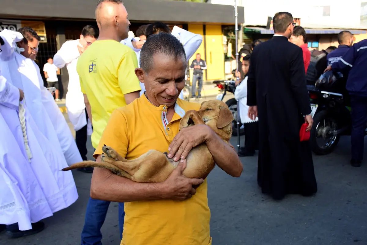 DiloConPerritos's tweet photo. El día de ayer, un hombre caminó el #viacrusis acompañado de su mejor amigo, en un homenaje de fe 🕊️ 

Vicente se abrió paso entre los fieles que acompañaban las estaciones del viacrucis. No caminaba solo por devoción religiosa. También lo hacía por amor a Mateo, su perro de un año y medio, cuya salud lo mantiene preocupado…

Mientras los fieles rezaban y entonaban cantos religiosos, Cevallos sostenía con cuidado a su mascota, decidido a completar todo el recorrido como una promesa personal.

La caminata, que se extendió por más de dos horas y cubrió cerca de ocho kilómetros, reunió a cientos de personas que participaron en esta tradición religiosa profundamente arraigada en la ciudad.