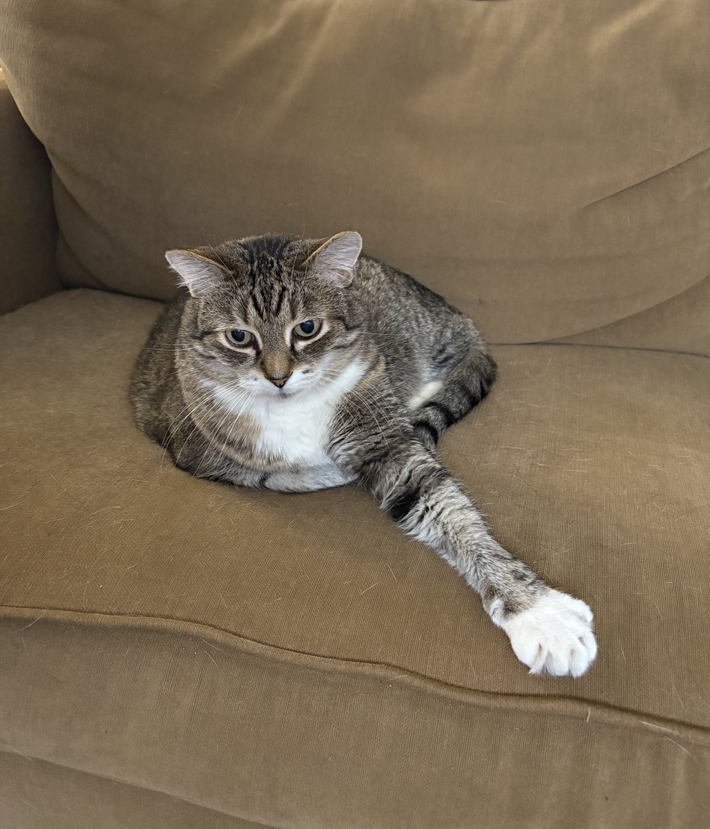 jackson (mocha) tweet media