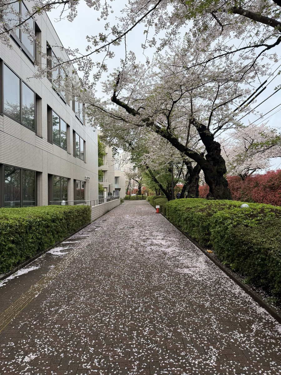 ATOMIC BILGUUN tweet media