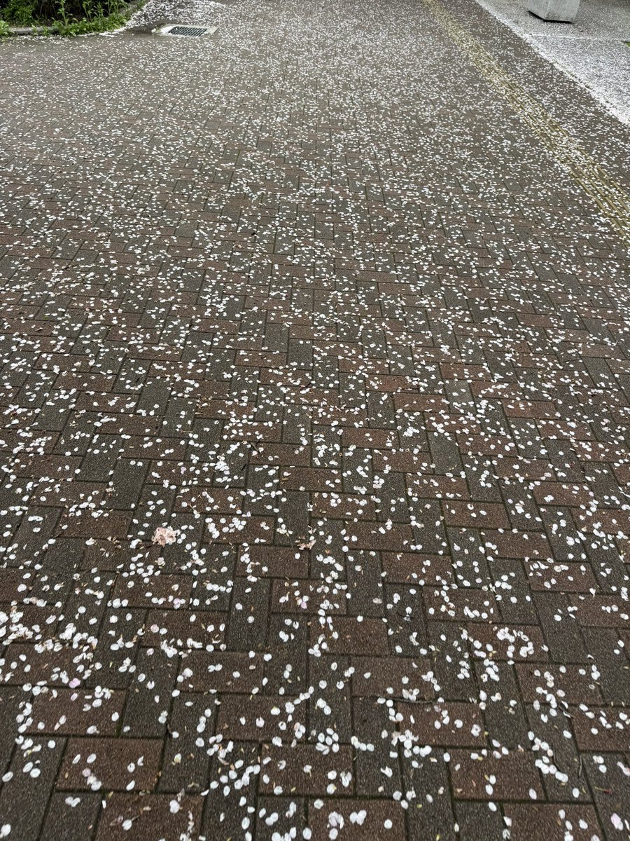 ATOMIC BILGUUN tweet media