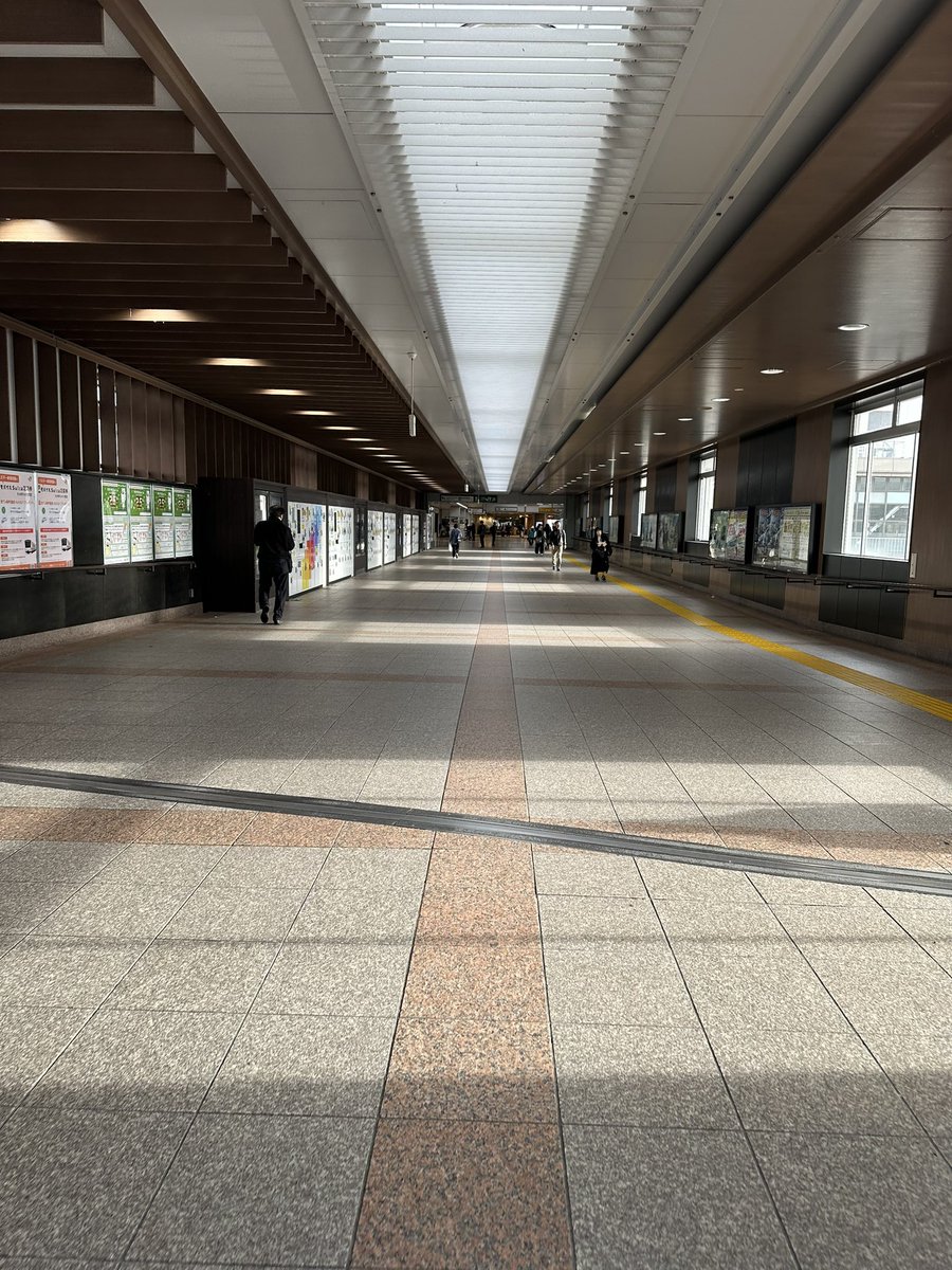 ゆめひかり⚾︎ tweet media