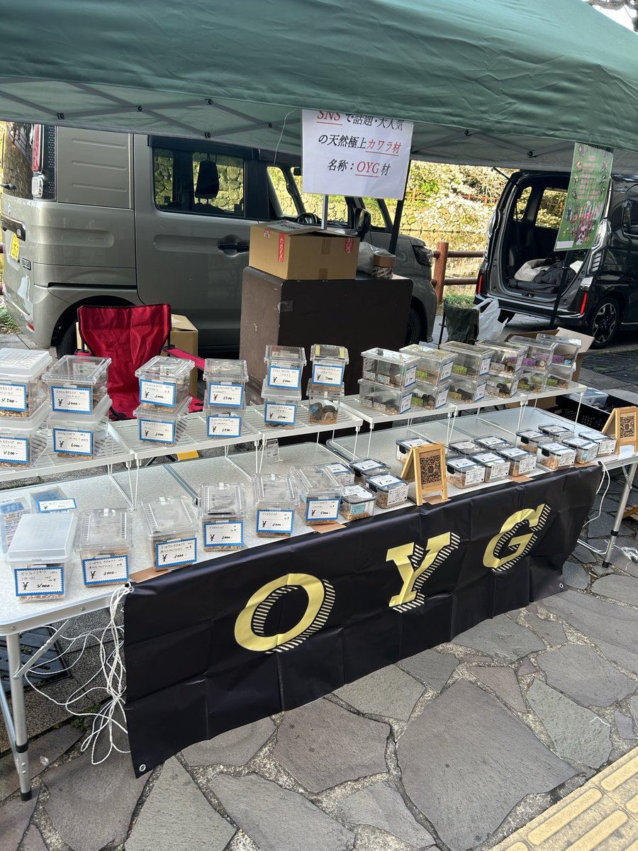 ヒラタ大好きOYG〜福岡甲虫會〜 tweet media