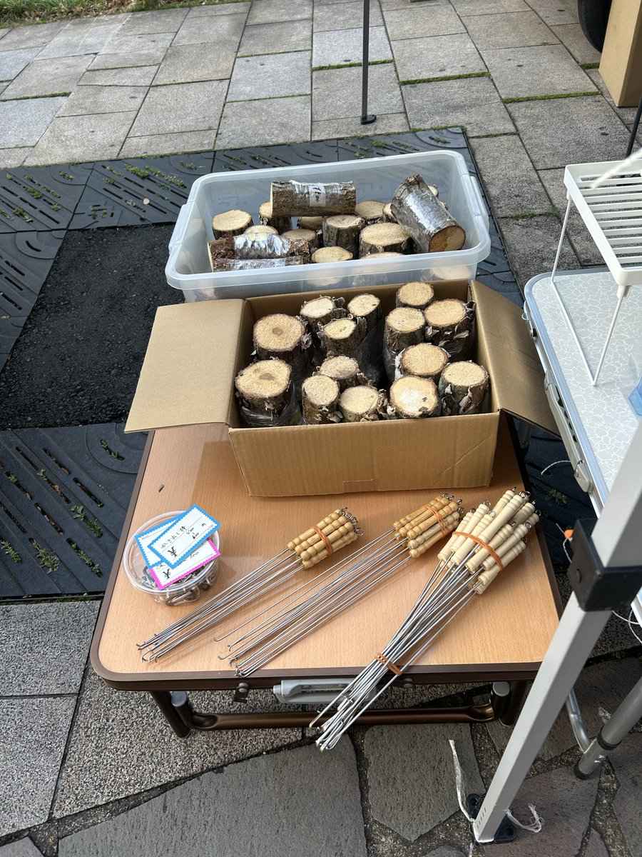 ヒラタ大好きOYG〜福岡甲虫會〜 tweet media