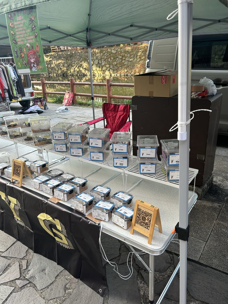 ヒラタ大好きOYG〜福岡甲虫會〜 tweet media