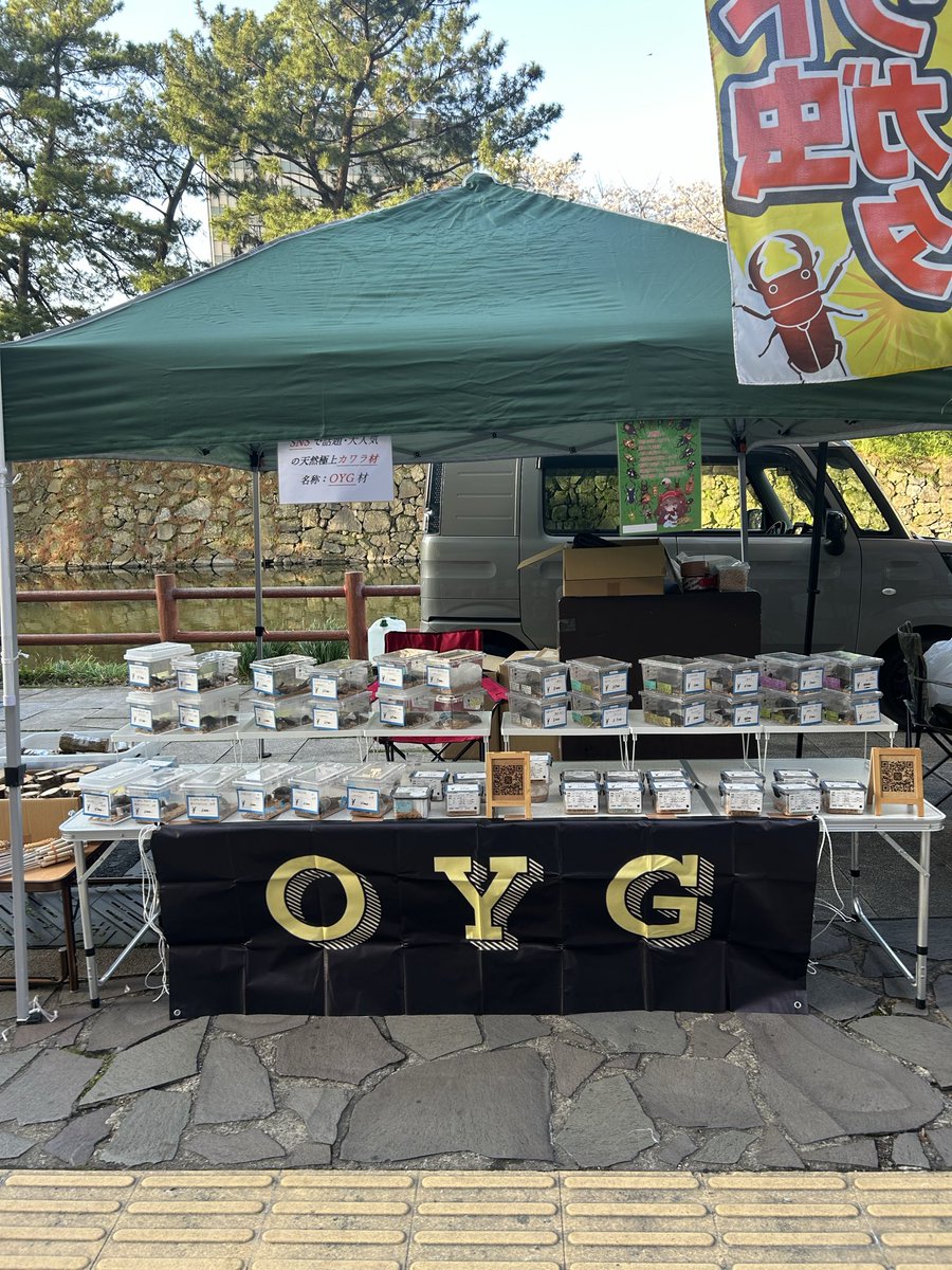 ヒラタ大好きOYG〜福岡甲虫會〜 tweet media