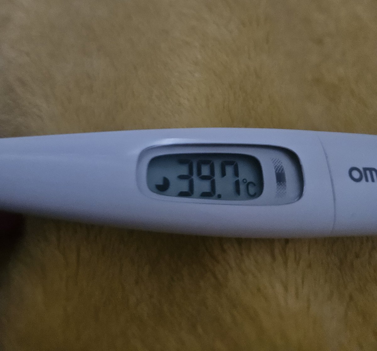 あいか🐾 tweet media