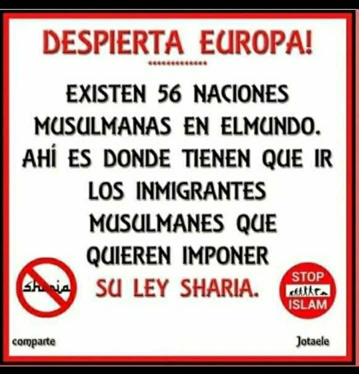 NOMO🙏✝️AlServicioDeDios tweet media