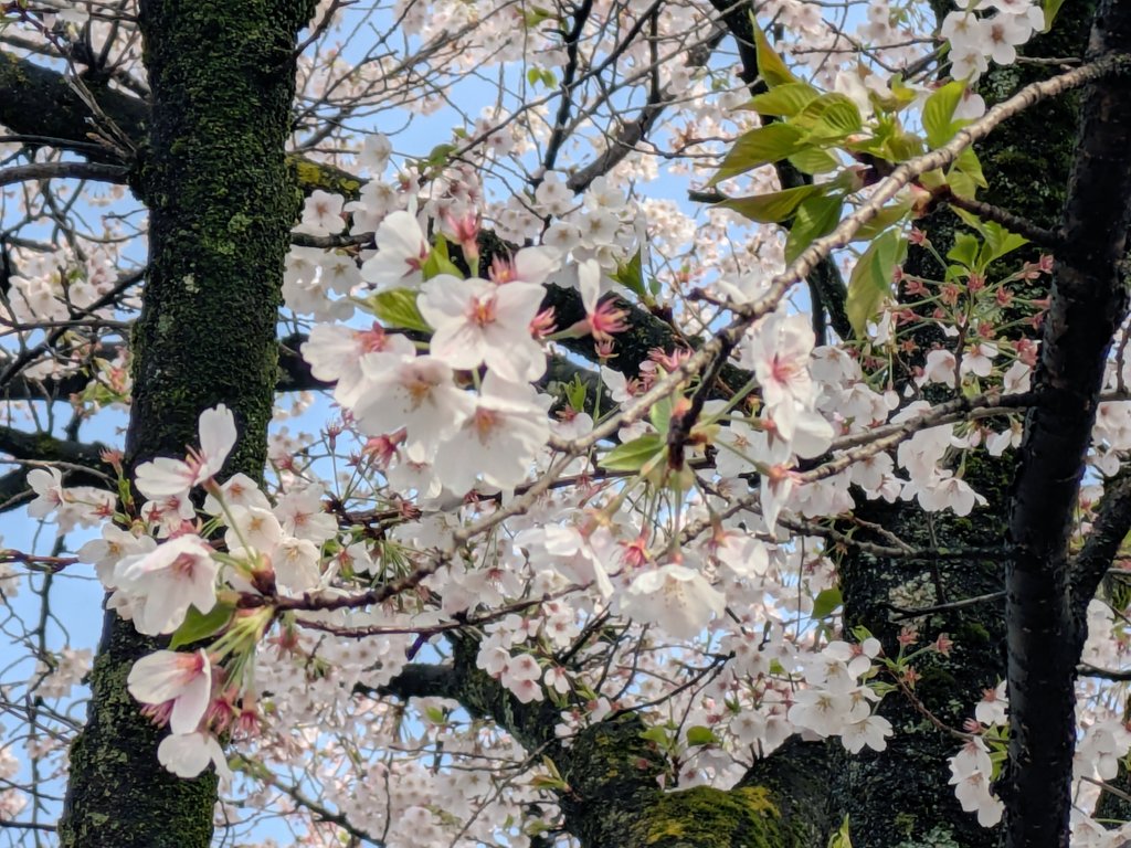 金光宣明 tweet media