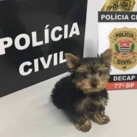 tô meio assim com o chianca desde o término pq foi me revelado em sonho que ele fez merda