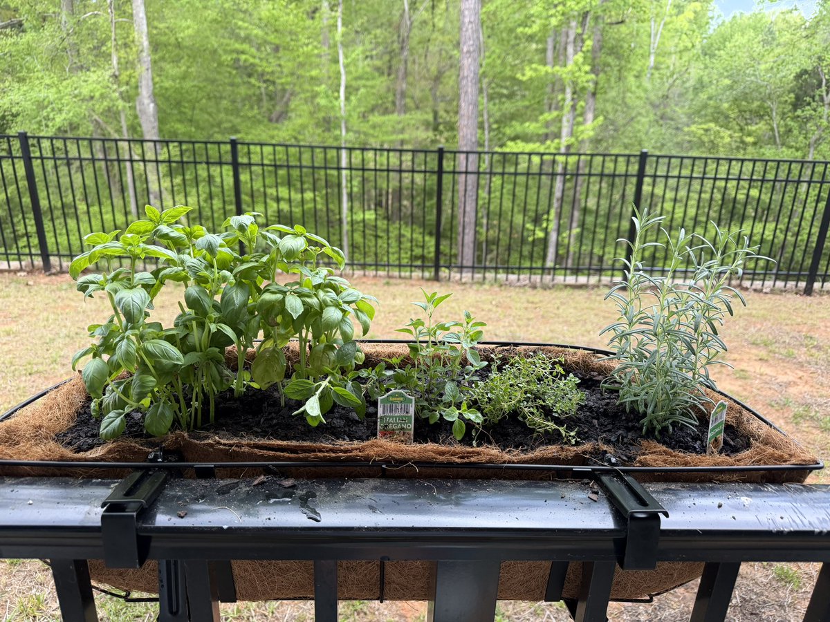 The Principal’s Office tweet media