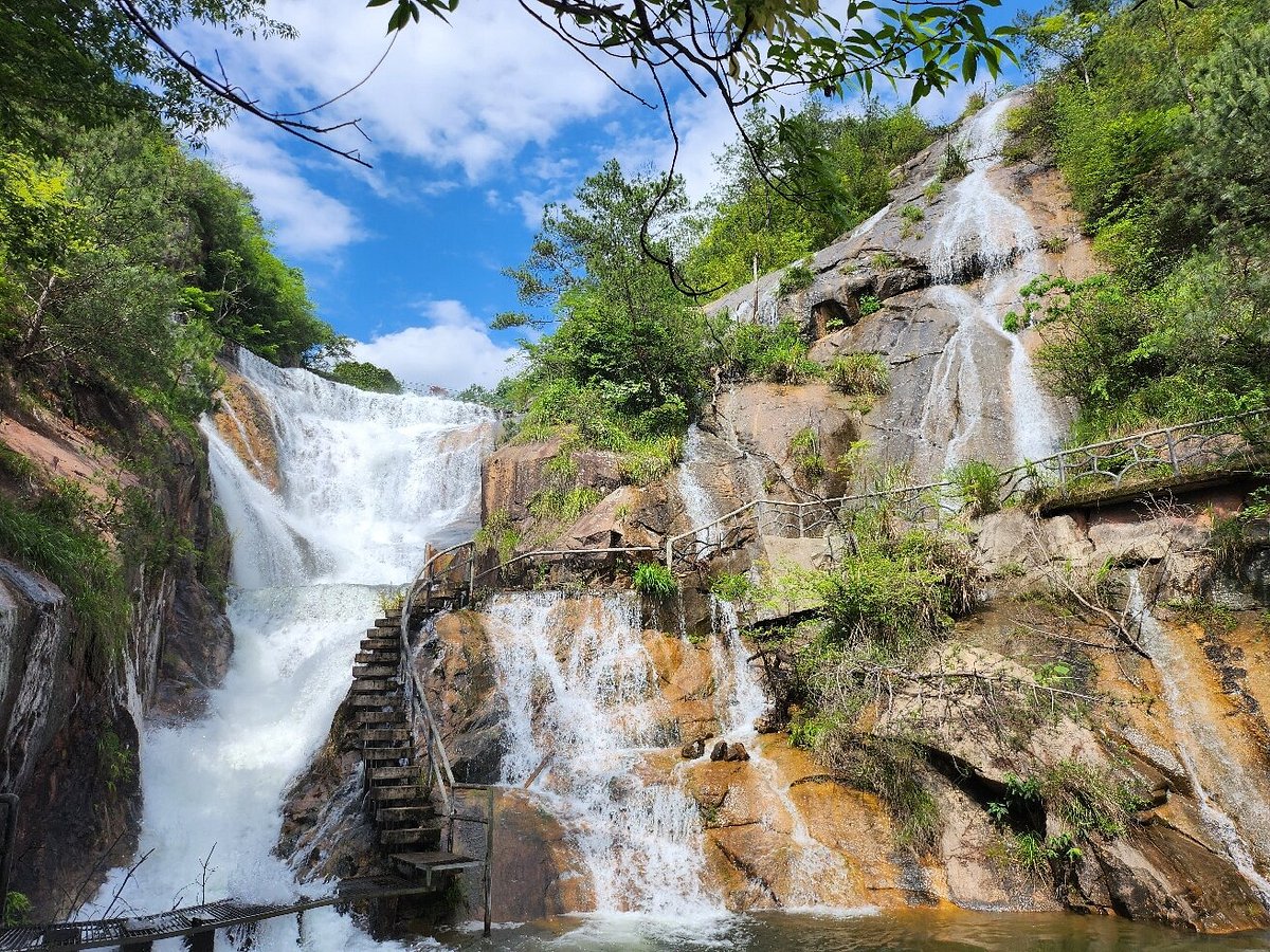 直接被民主 tweet media