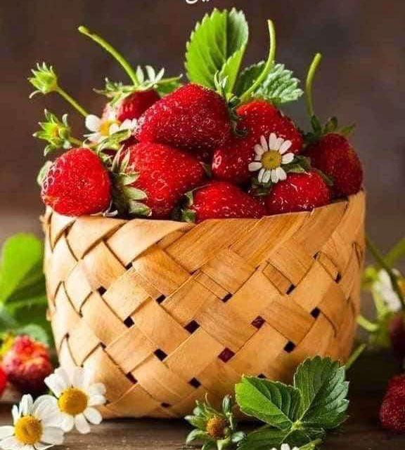 Madiha915's tweet image. when you are in 
search of your love 
then definitely your 
soulmate would 
also be searching you 
#DeepThoughts
🩵💞🩵💞🩵💞🩵
#SundayVibes 
#GoodMorning