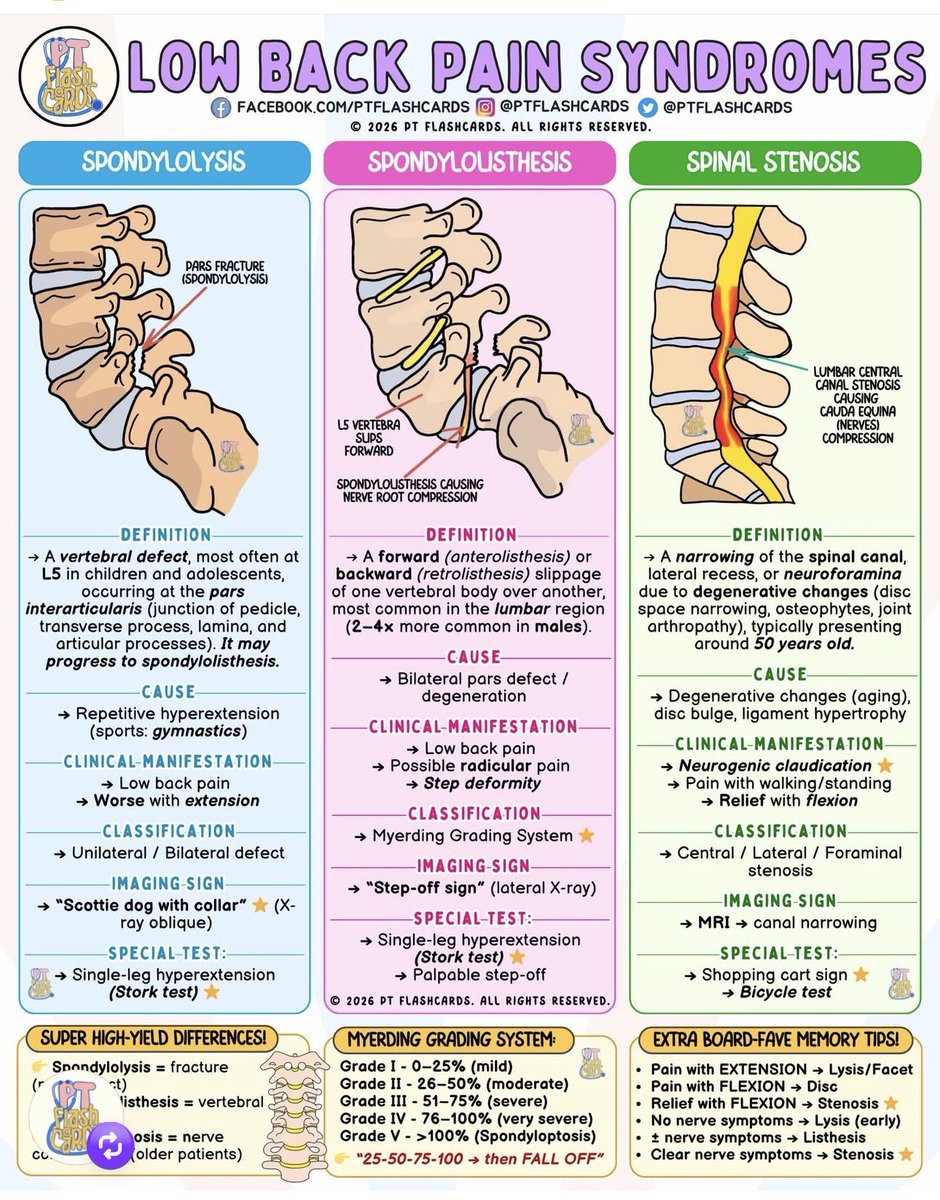Oren Gottfried, MD tweet media