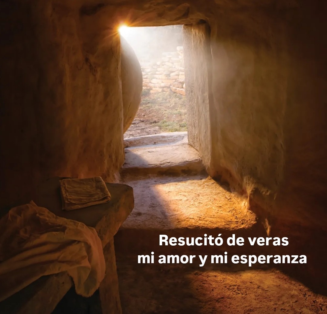 oscar muñoz ruiz tweet media