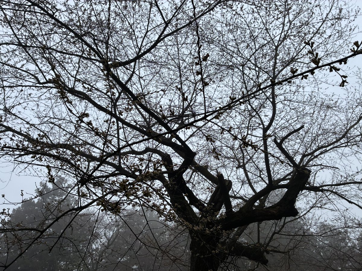 🍡ツカ🍡 tweet media