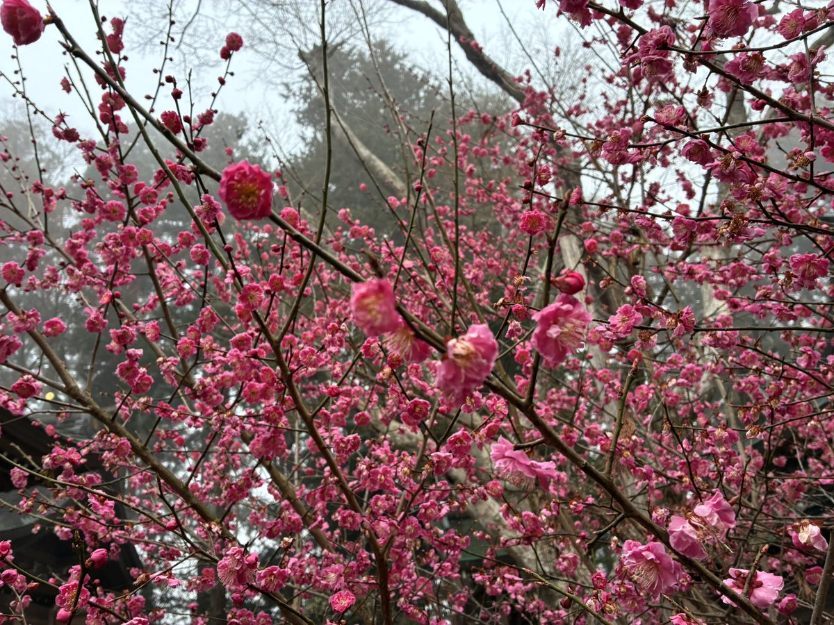 🍡ツカ🍡 tweet media