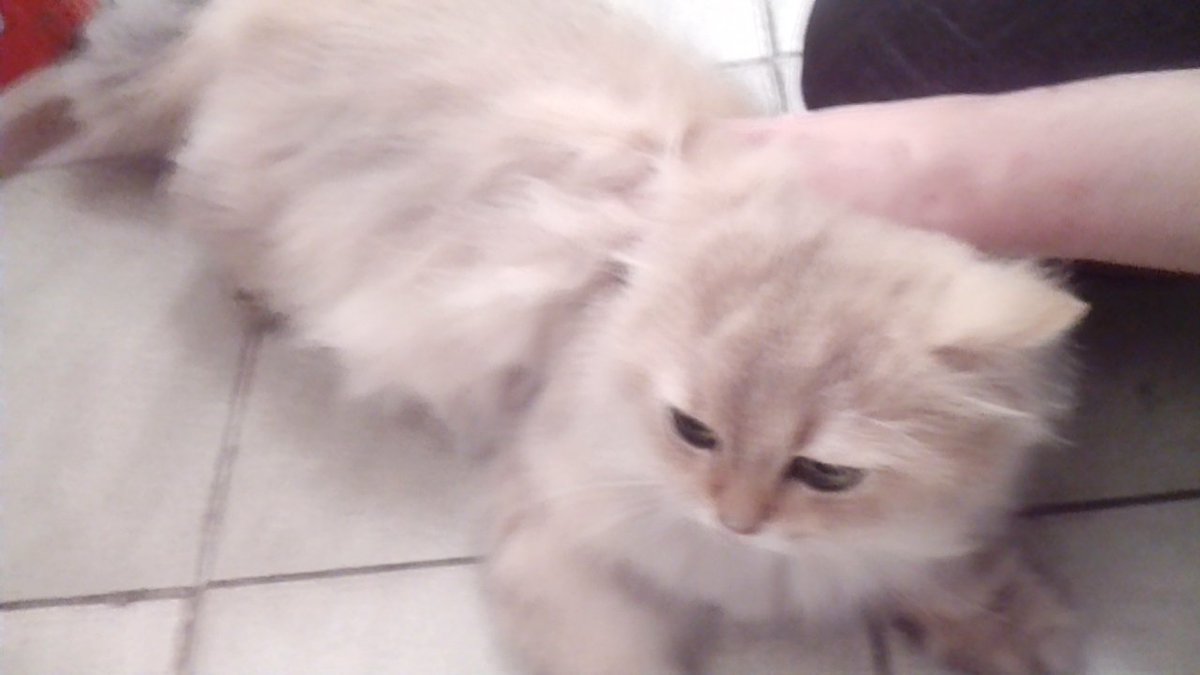 四幺QAQ tweet media