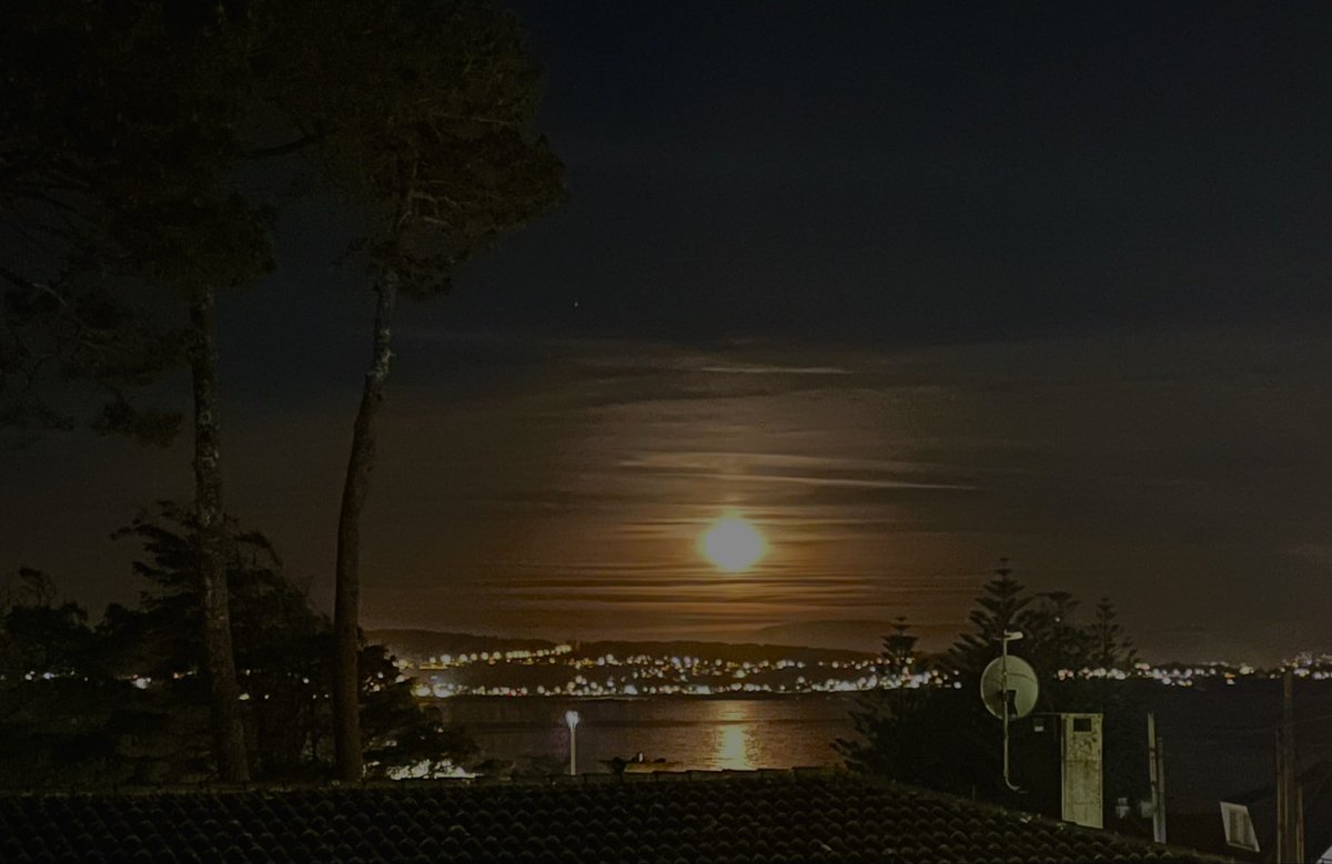 Petit soleil ☀️ tweet media