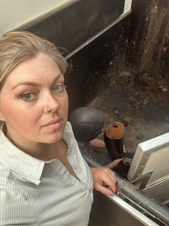 ✨𝑅𝐸𝐼𝒩𝐸 𝑀𝒜𝒴𝒜 ✨ tweet media