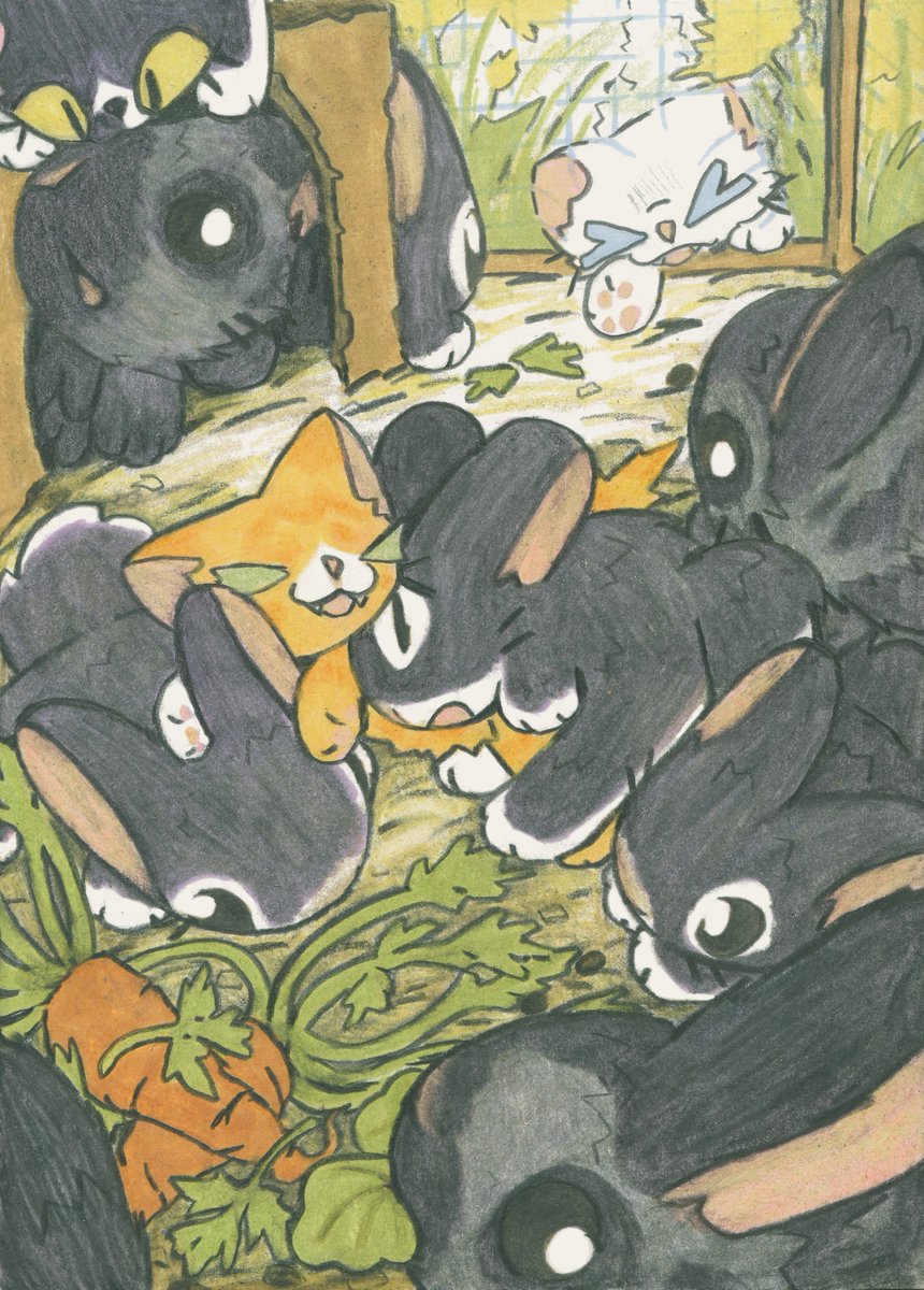 the meat rabbit's colony pen