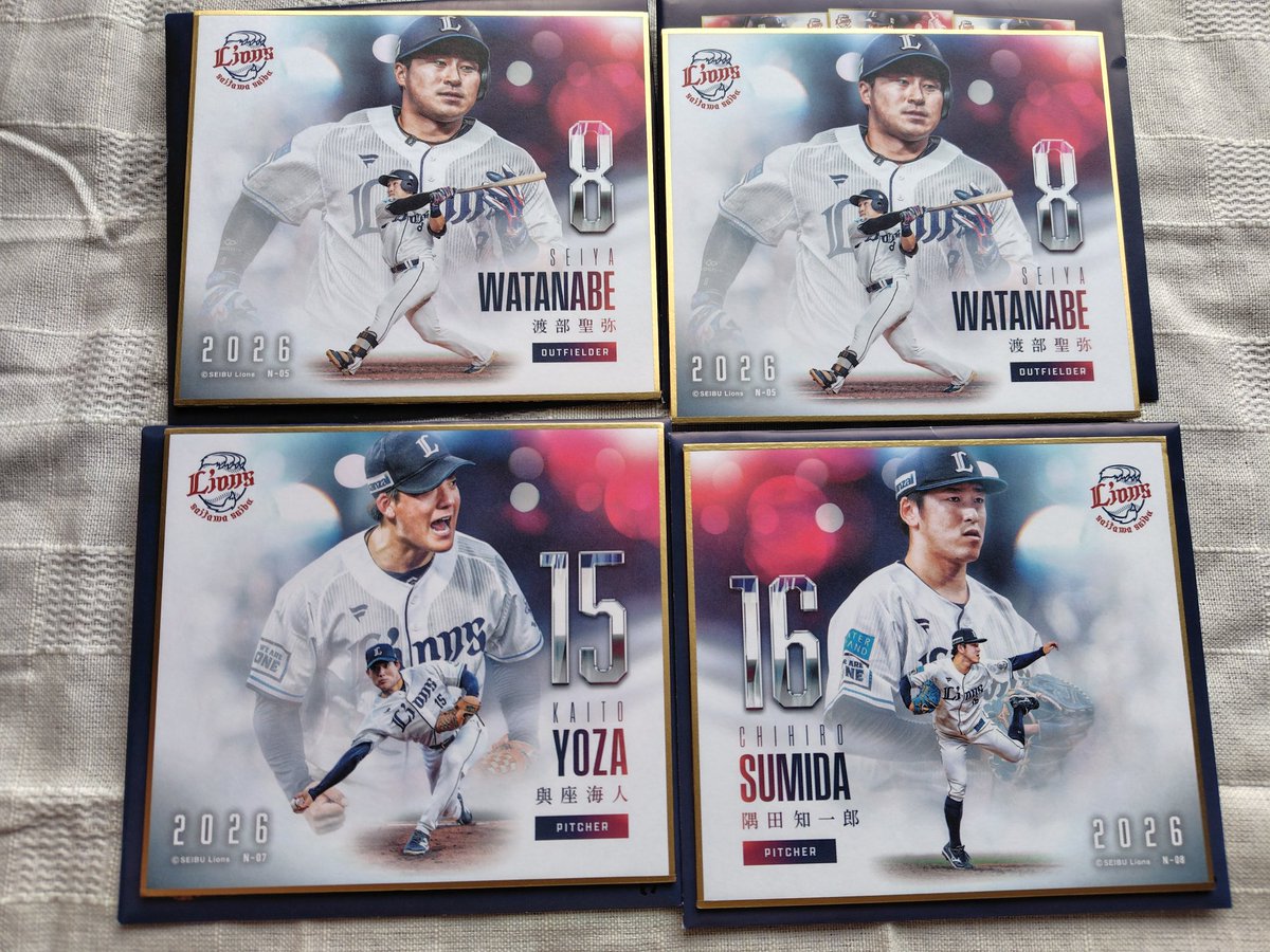 Saku🦁⚾️ tweet media