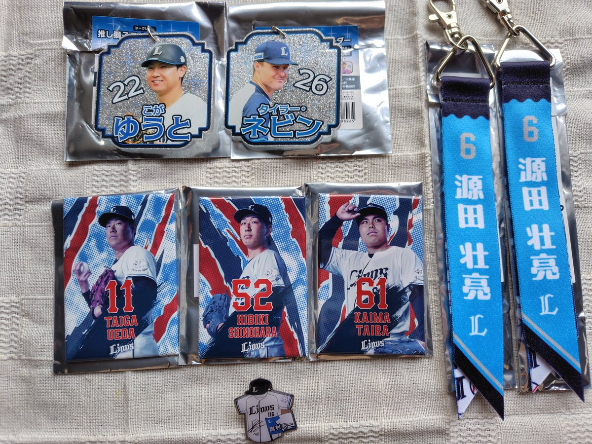 Saku🦁⚾️ tweet media