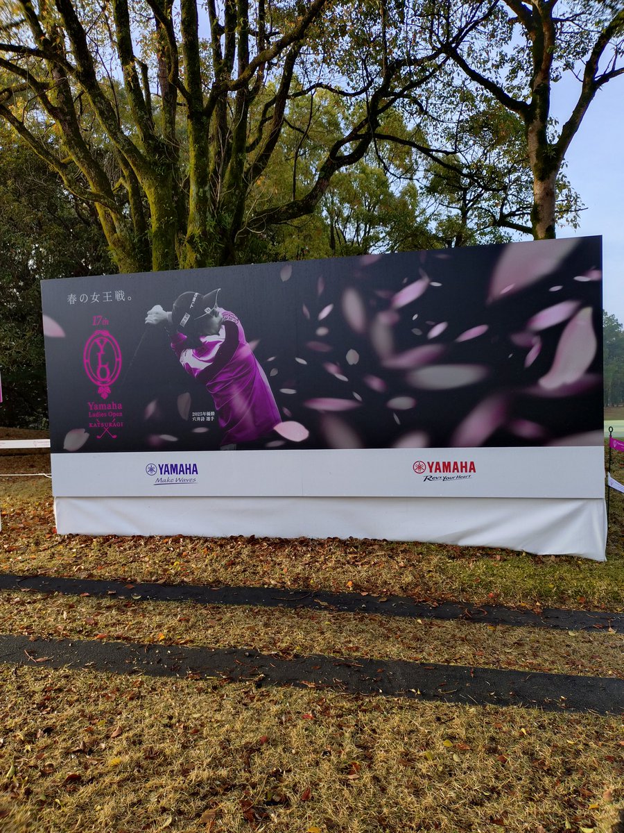 とらうち tweet media