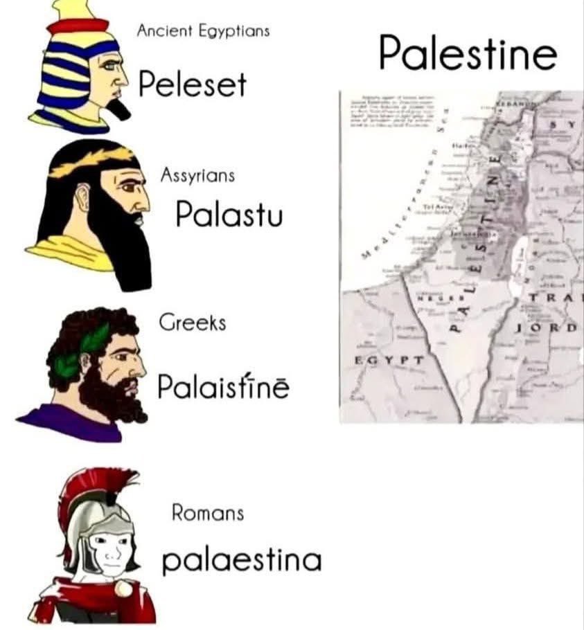 Akademia 🇵🇸🌋 tweet media