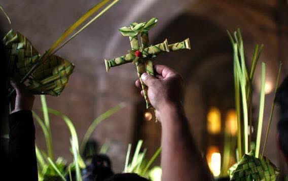 Happy Palm Sunday 🌿❤️