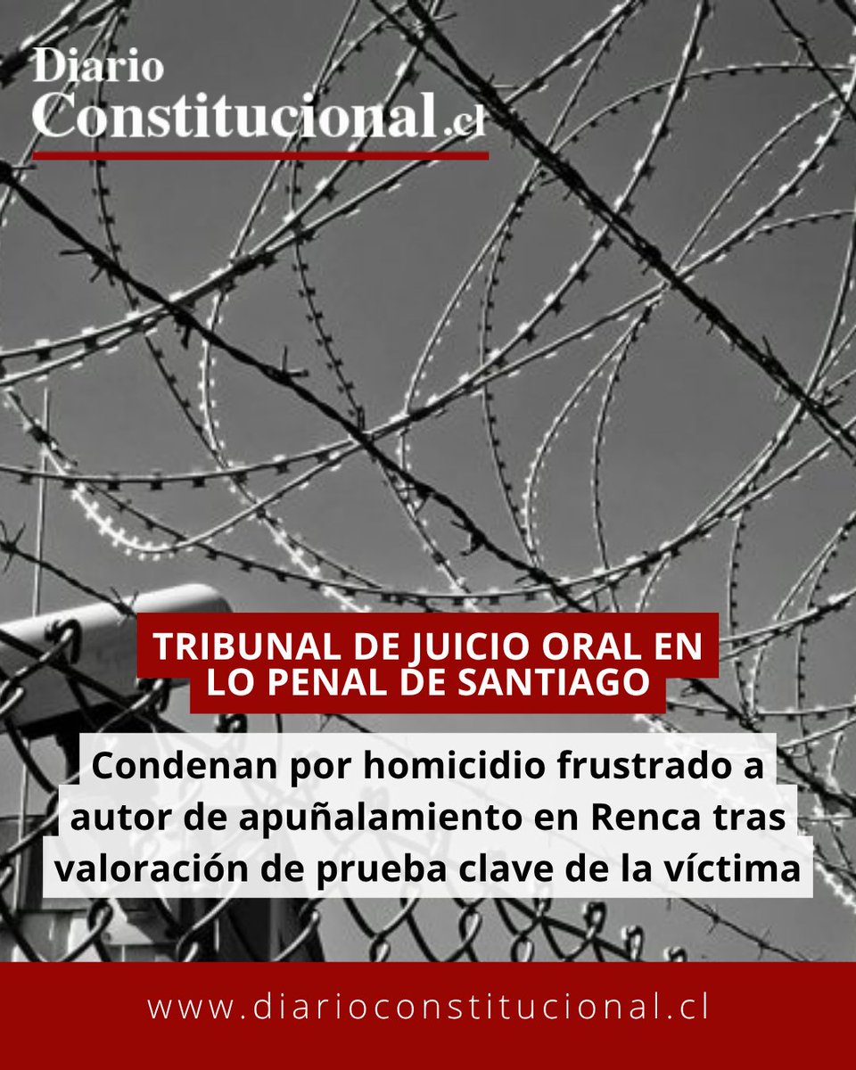 DiarioConstitucional tweet media