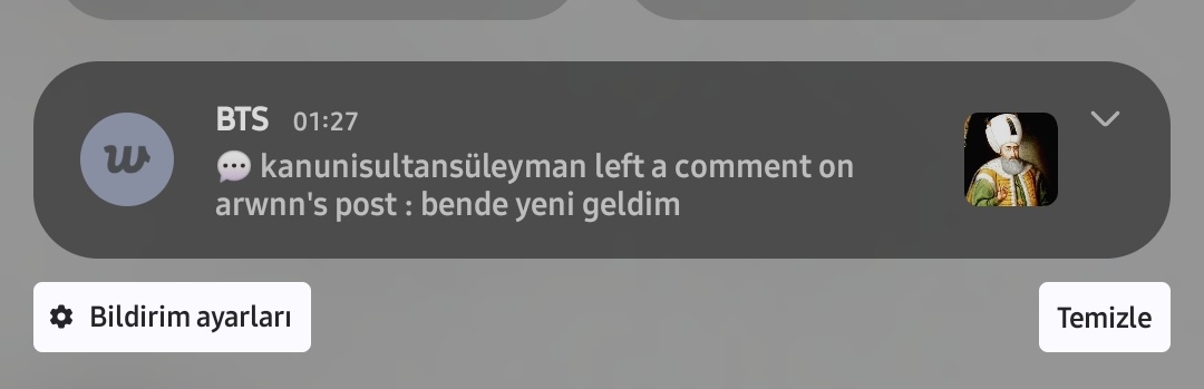 arwen, arirang tweet media