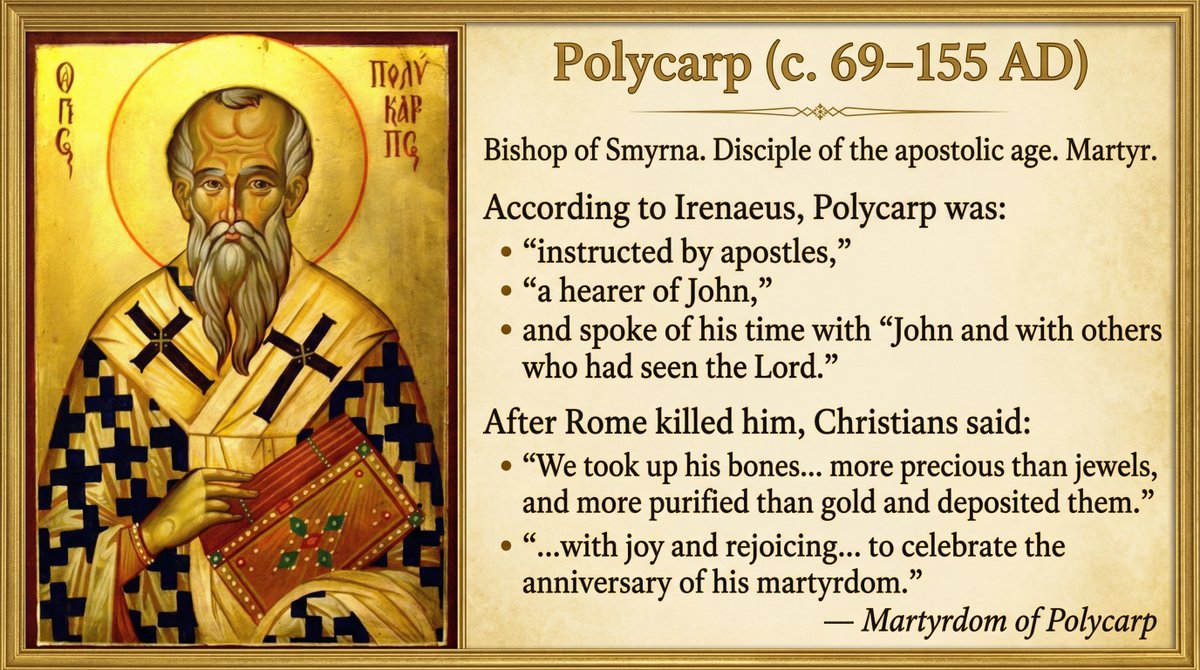 fideus.faruumvth tweet media