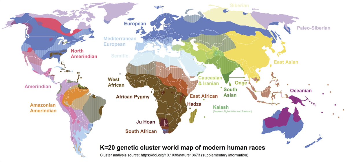 Amerikaner🛠️ tweet media