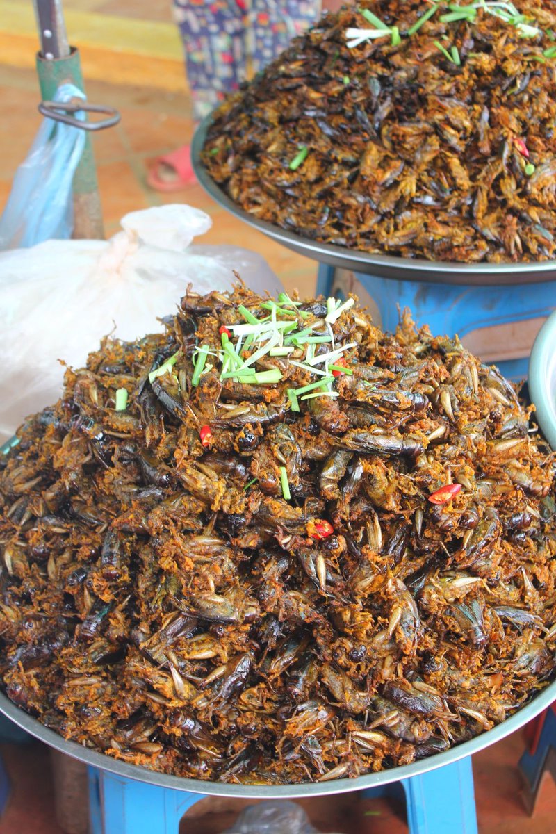 𝑩𝑰𝑮 𝑻𝑬𝑬 𝑫𝑬𝑬 🔮 tweet media