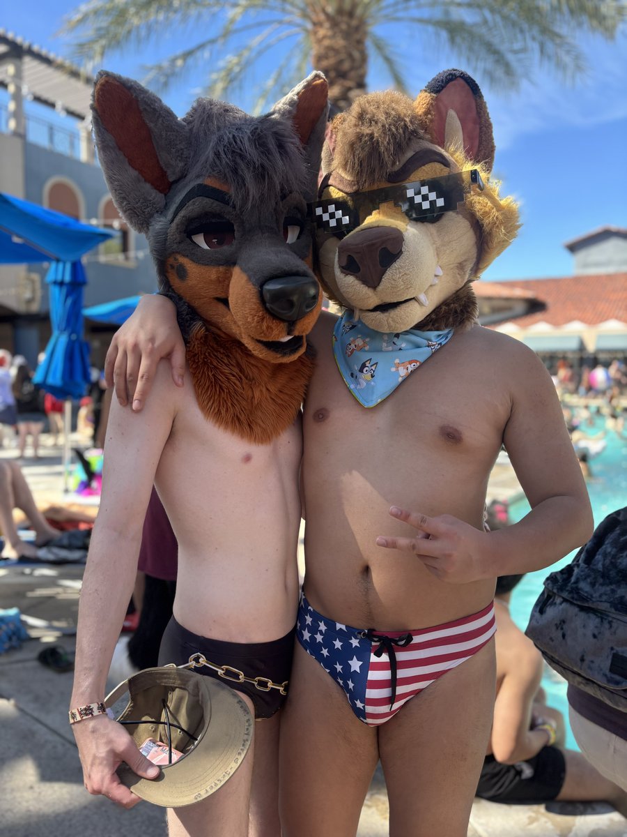 Foster 🔜 LVFC, FWA tweet media