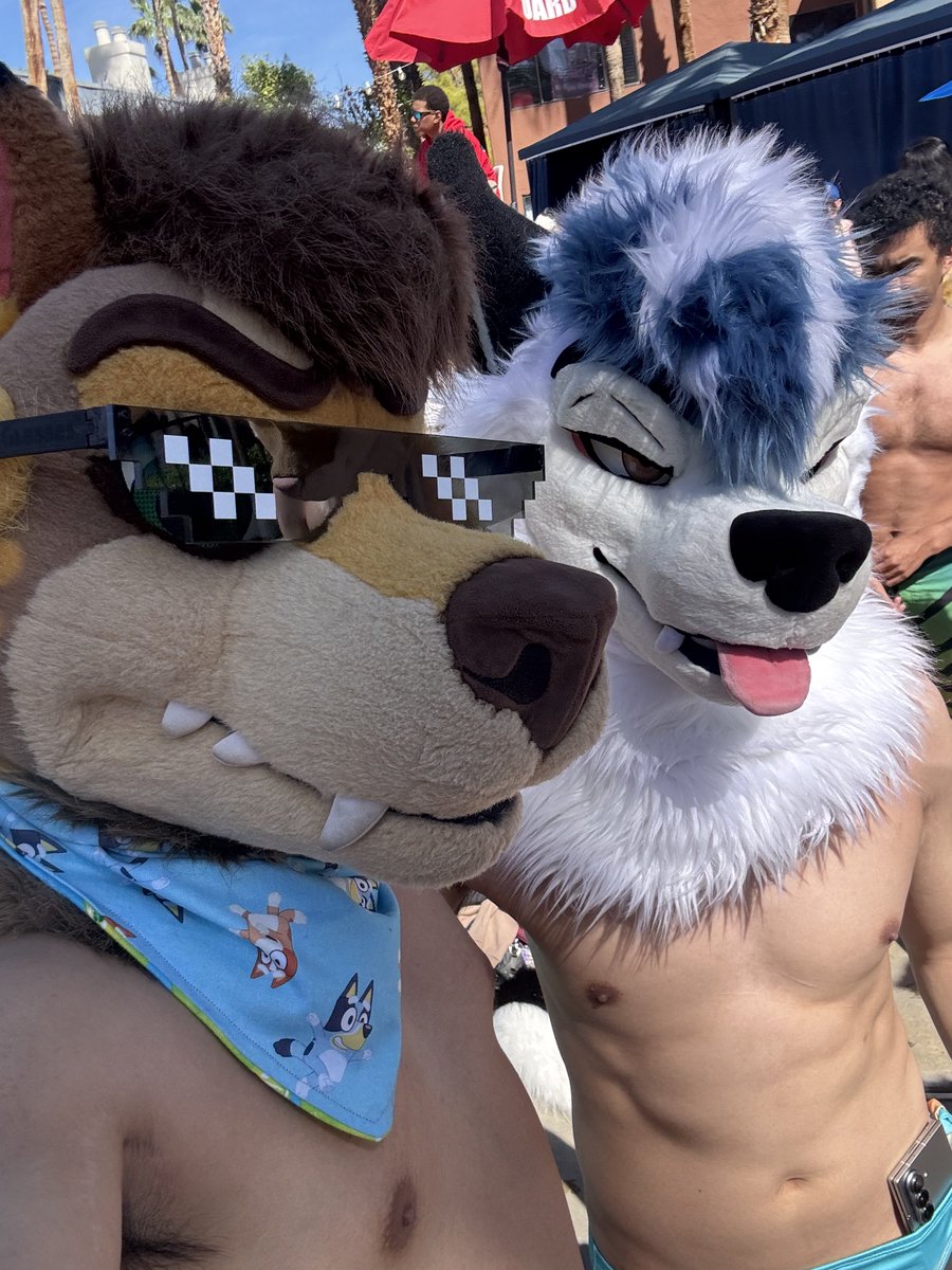 Foster 🔜 LVFC, FWA tweet media